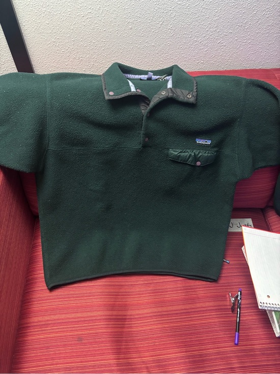 Patagonia Other - Patagonia Dark Green Synchilla Fleece